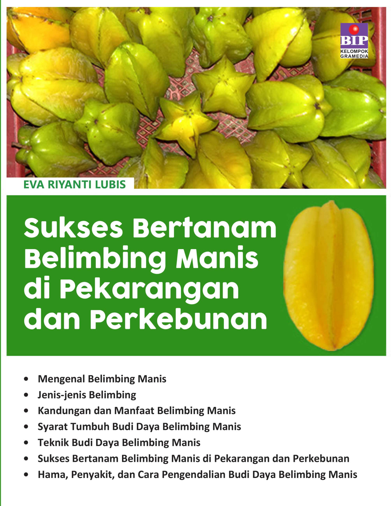 Sukses Bertanam Belimbing Manis di Pekarangan dan Perkebunan