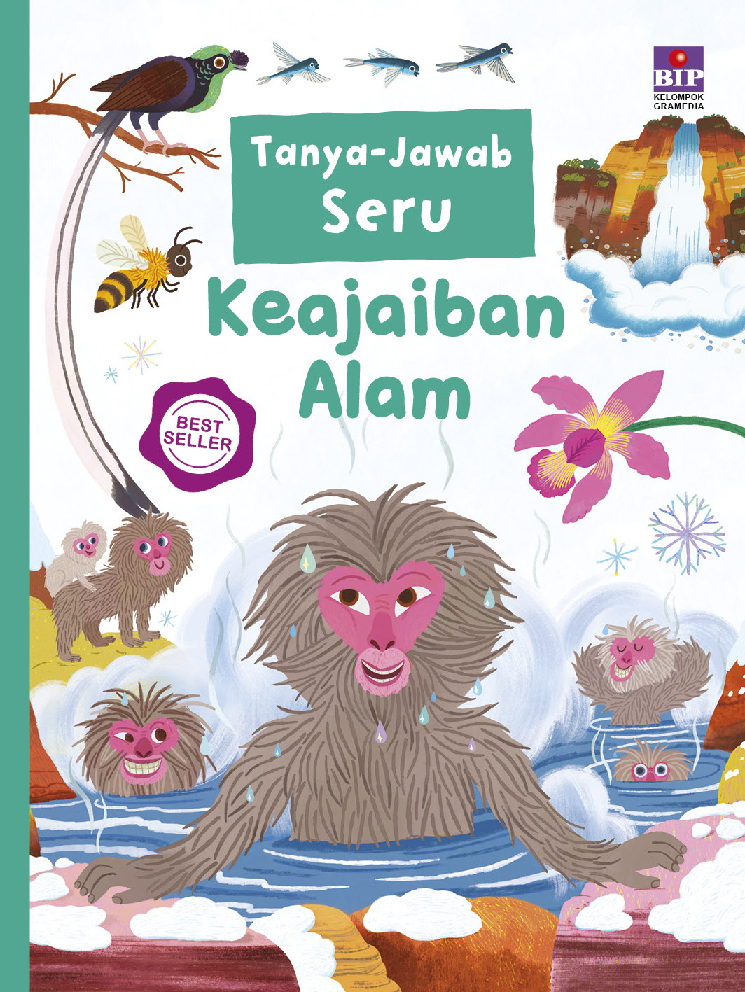 Tanya-Jawab Seru: Keajaiban Alam