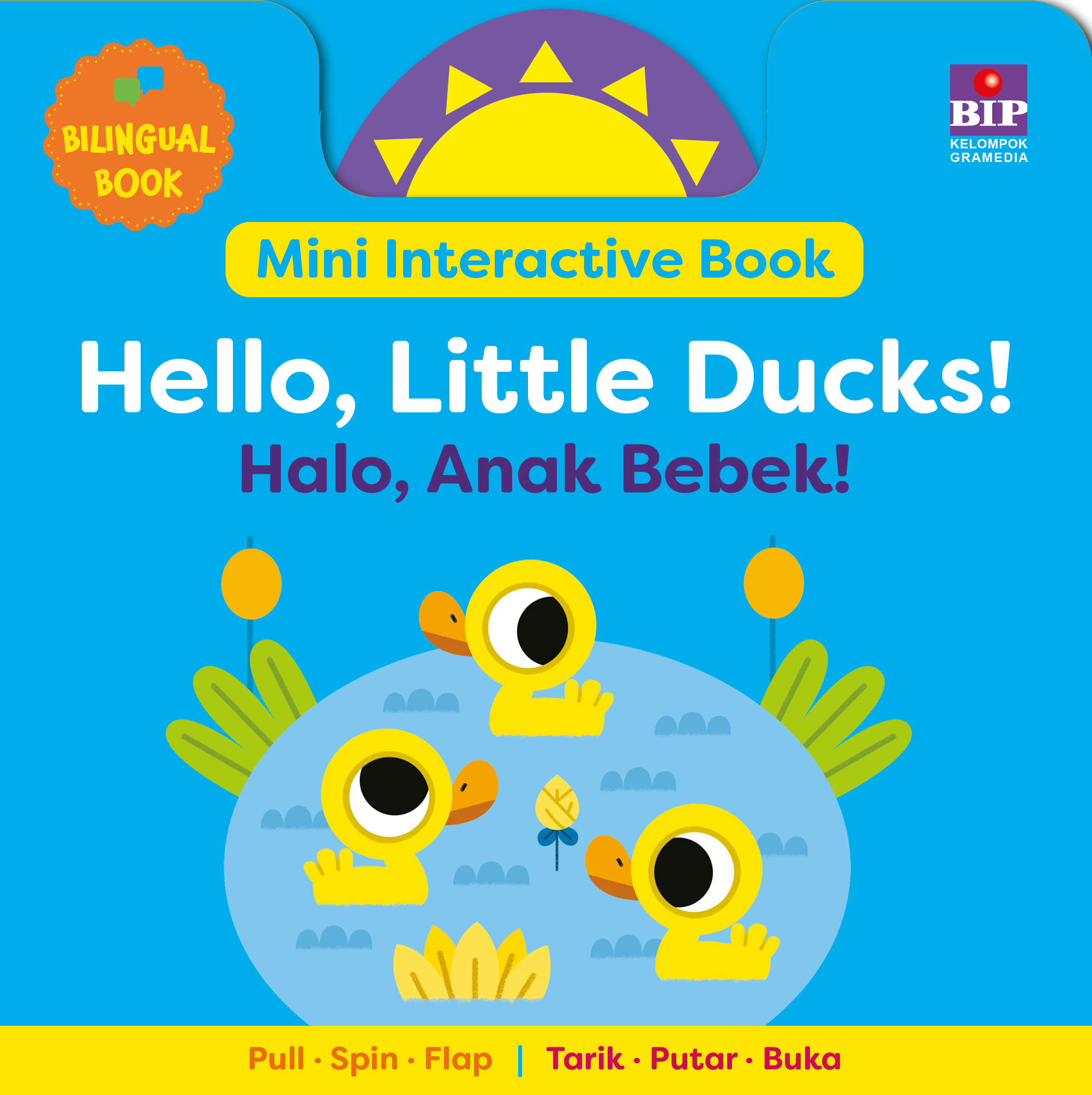 Mini Interactive Book: Hello, Little Ducks!