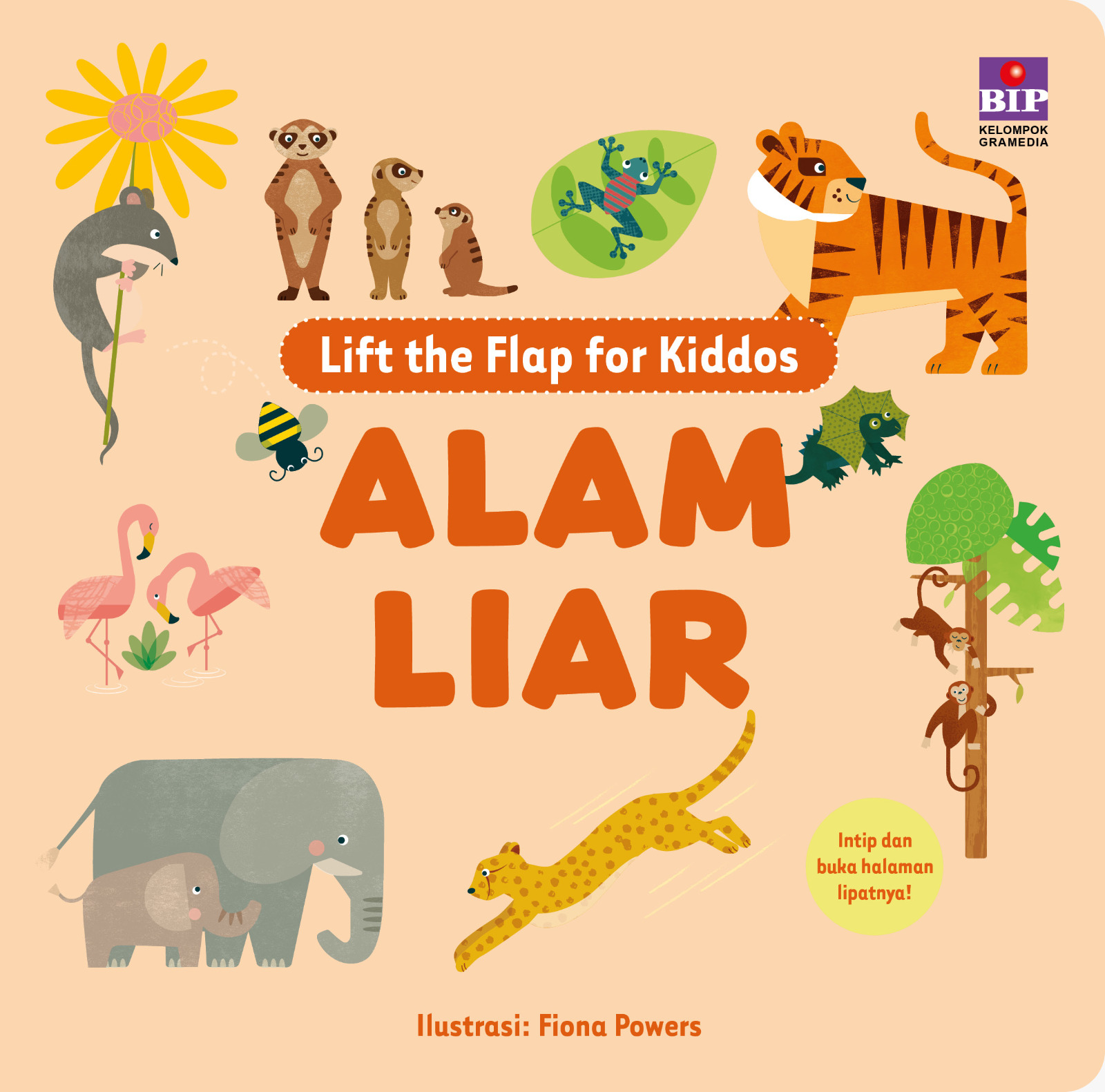Lift the Flap for Kiddos: Alam Liar
