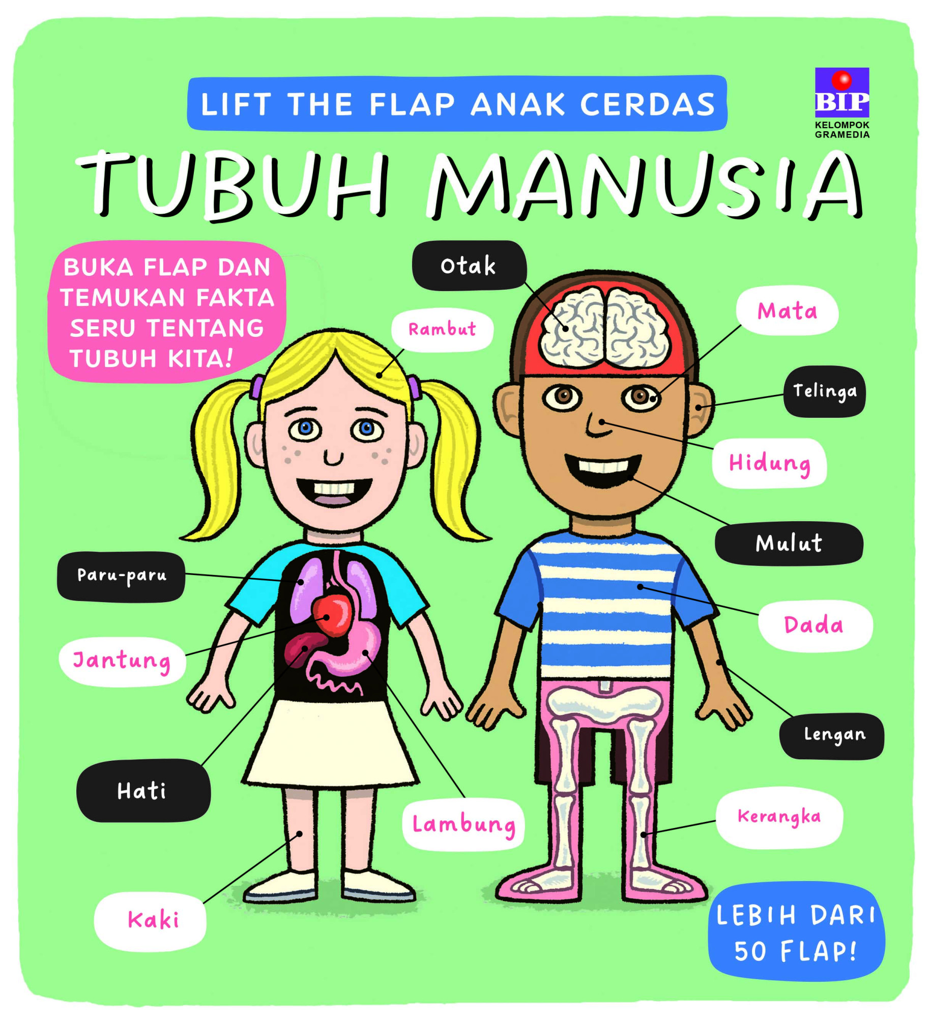 Lift the Flap Anak Cerdas: Tubuh Manusia