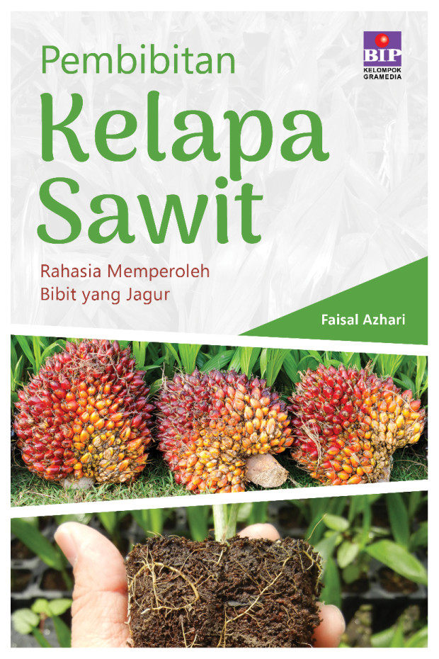 Pembibitan Kelapa Sawit: Rahasia Memperoleh Bibit yang Jagur