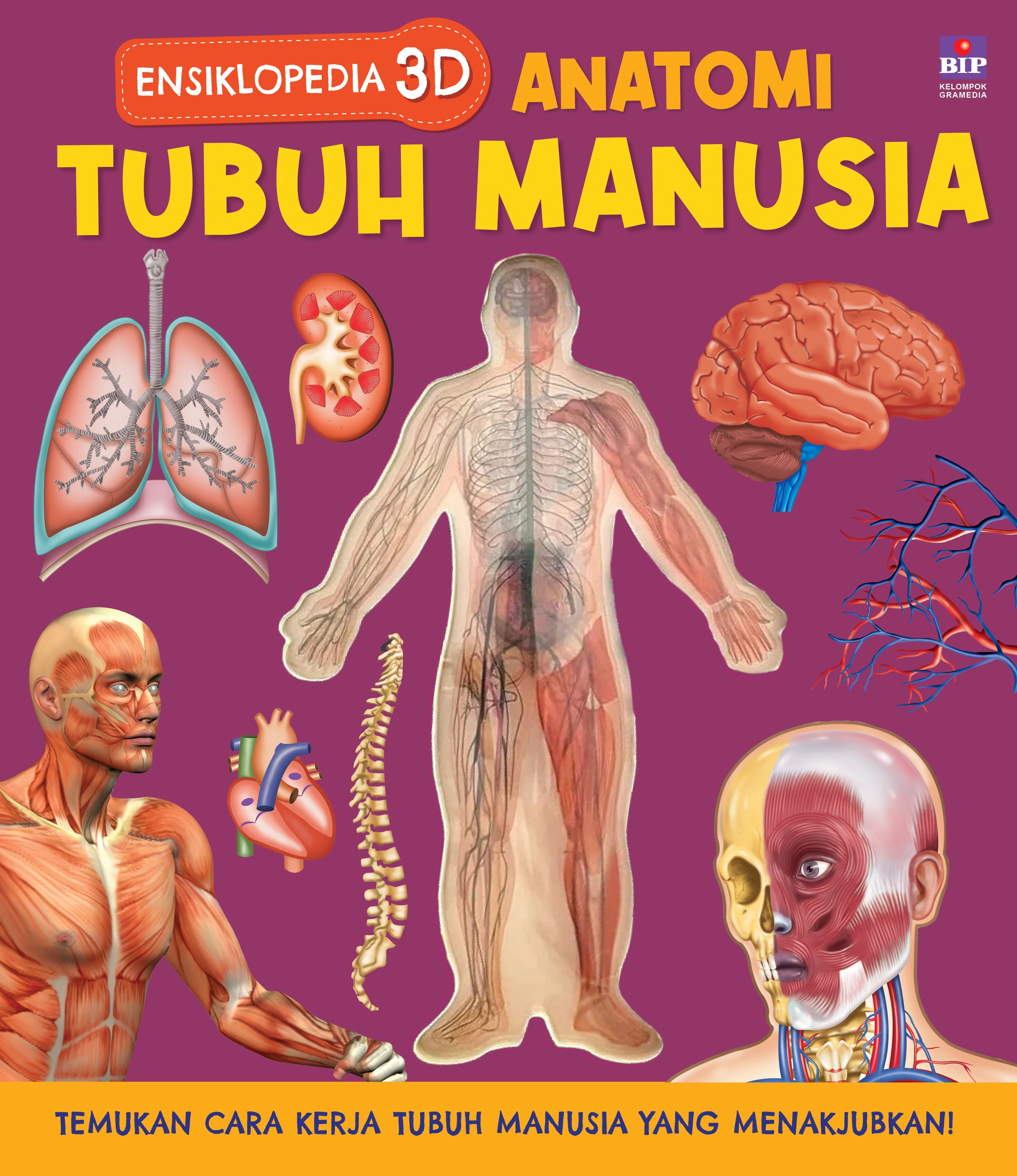 Ensiklopedia 3D Anatomi Tubuh Manusia