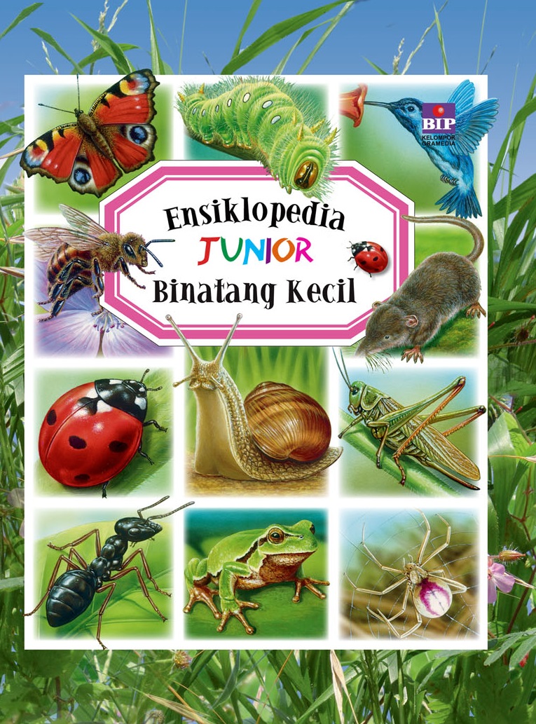 Ensiklopedia Junior: Binatang Kecil