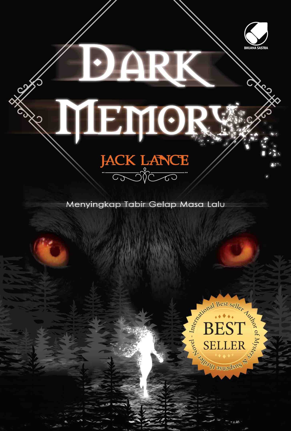 Dark Memory